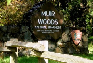 Passeio a Muir Woods e vinhedos da Califórnia