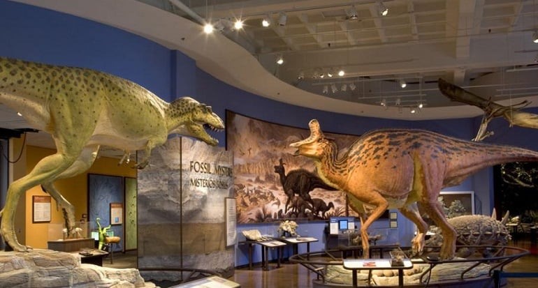 Museu de História Natural de San Diego