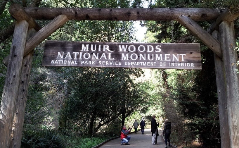 Entrada no Parque Nacional de Muirwoods na Califórnia