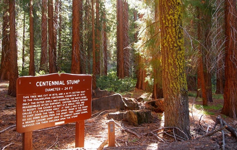 Parque Nacional da Sequoia na Califórnia