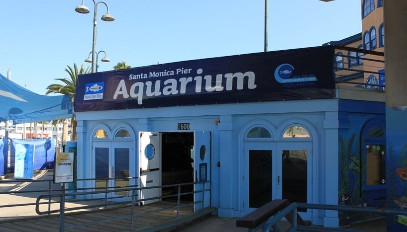 Visita ao Santa Mônica Píer Aquarium