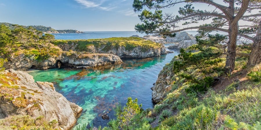 Ponto turístico Point Lobos State Natural Reserve em Carmel-by-the-Sea
