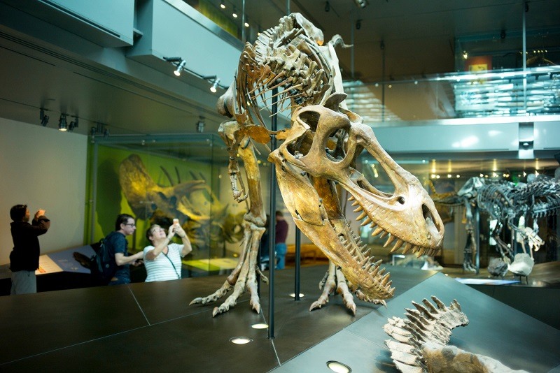 Museu de História Natural de Los Angeles 