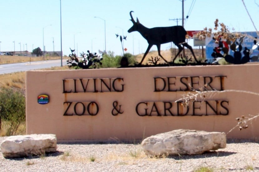 Living Desert Zoo and Gardens em Palm Springs