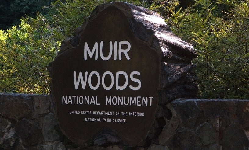 Parque Nacional de Muirwoods na Califórnia 