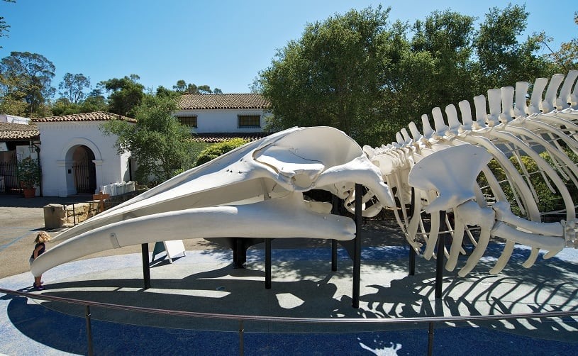 Santa Bárbara Museum of Natural History Sea Center em um roteiro de viagem em Santa Bárbara