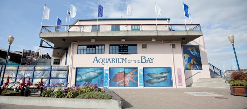 Aquarium of the Bay em San Francisco