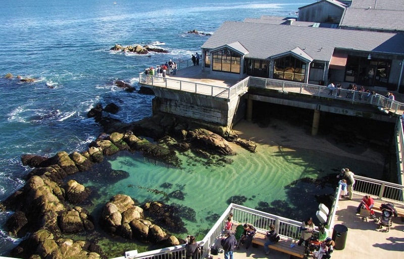 Estrutura do Monterey Bay Aquarium