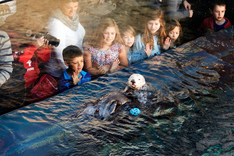 Crianças em passeio pelo Monterey Bay Aquarium