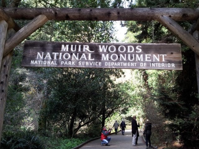 Parque Nacional de Muirwoods na Califórnia