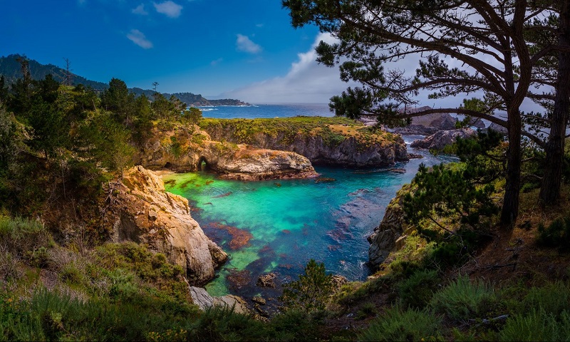 Point Lobos State Natural Reserve em Carmel-by-the-Sea